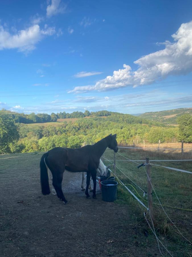 Chez Sophie - Gite Et Gite Equestre Clermont-Dessous Exteriör bild